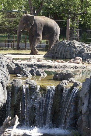 Zoológico de Denver